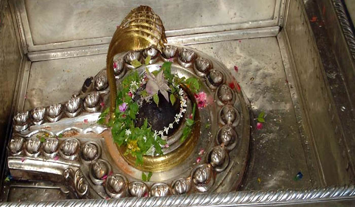 تور هند معبد کاشی ویشوانا