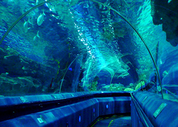 Beijing-Aquarium
