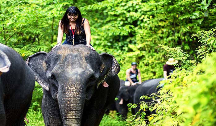 تور تایلند فیل سواری پوکت