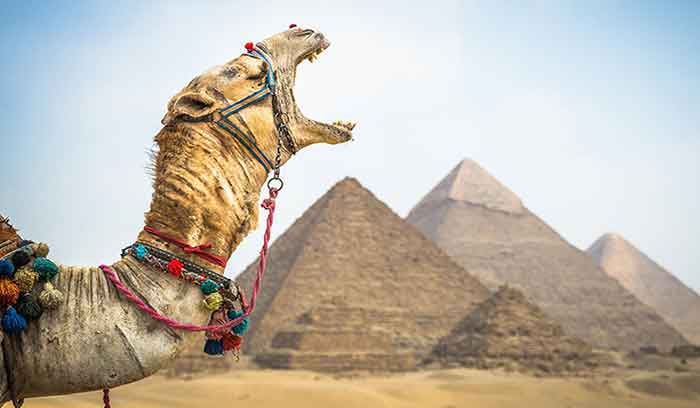 بهترین جاهای دیدنی مصر اهرام مصر