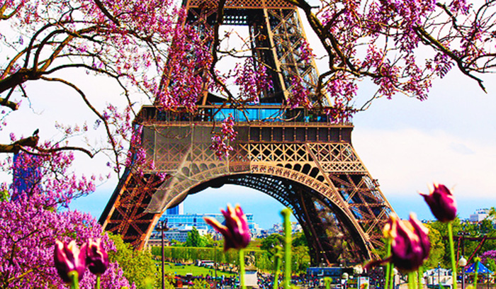 bright-colors-of-Paris