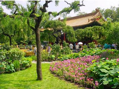 زیباترین بخش های پارک جینگشان پکن چین
